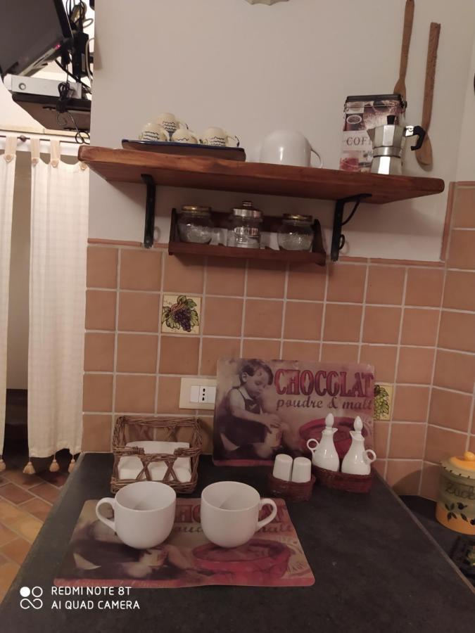 아볼라 Casotto Il Carrubo, A 100 Mt Dal Mare! 빌라 외부 사진